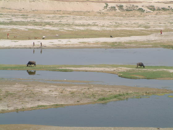 Looking across a wide river with low water levels